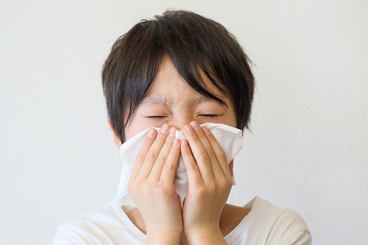 アレルギー性鼻炎のイメージ画像