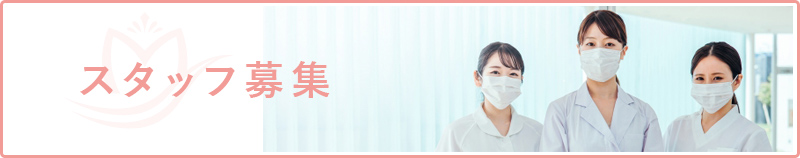 スタッフ募集